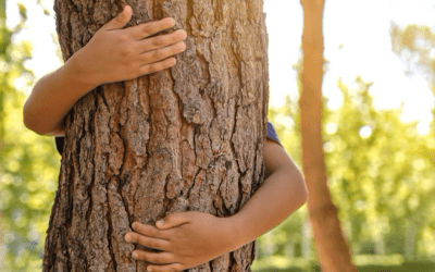 “Ciclo Especial: semana da natureza” meio ambiente, saúde e bem-estar