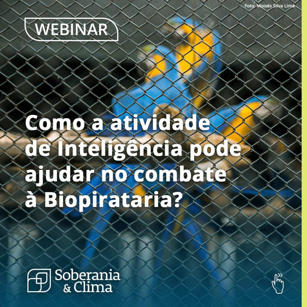 card webinar5 01 Comunicação e marketing para marcas, causas, eventos e cultura