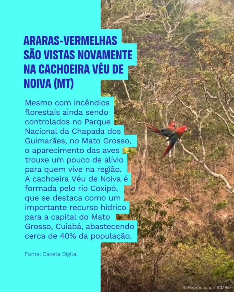 461262684 923369973157107 1354529512100845948 n Comunicação e marketing para marcas, causas, eventos e cultura