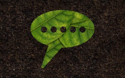 Comunicação e marketing socioambiental: sementes entre o mundo que temos e o mundo que precisamos replantar