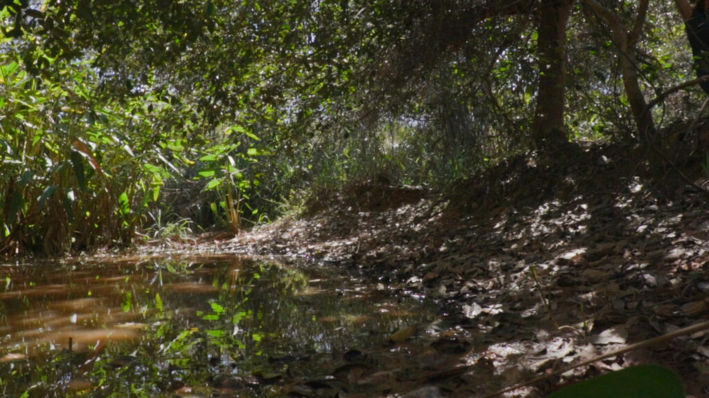 Julio TIKRIKATI 206 1024x576 1 Comunicação e marketing para marcas, causas, eventos e cultura
