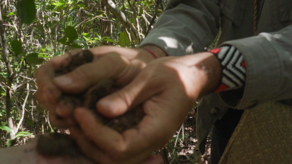 Julio TIKRIKATI 233 1024x576 1 Comunicação e marketing para marcas, causas, eventos e cultura